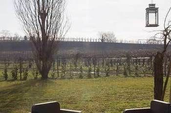 Nicobresaola Farm stay Sommacampagna