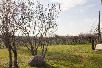 Nicobresaola Farm stay